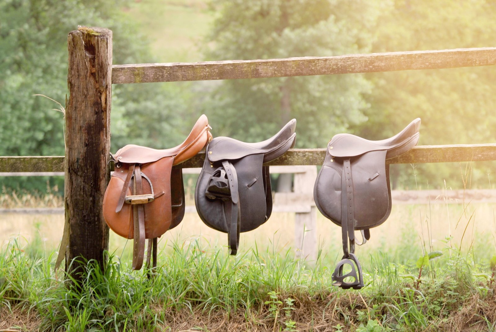 How Can I Save Money on Horse Gear? Your Ultimate Guide to Finding Great Deals on Equestrian Tack