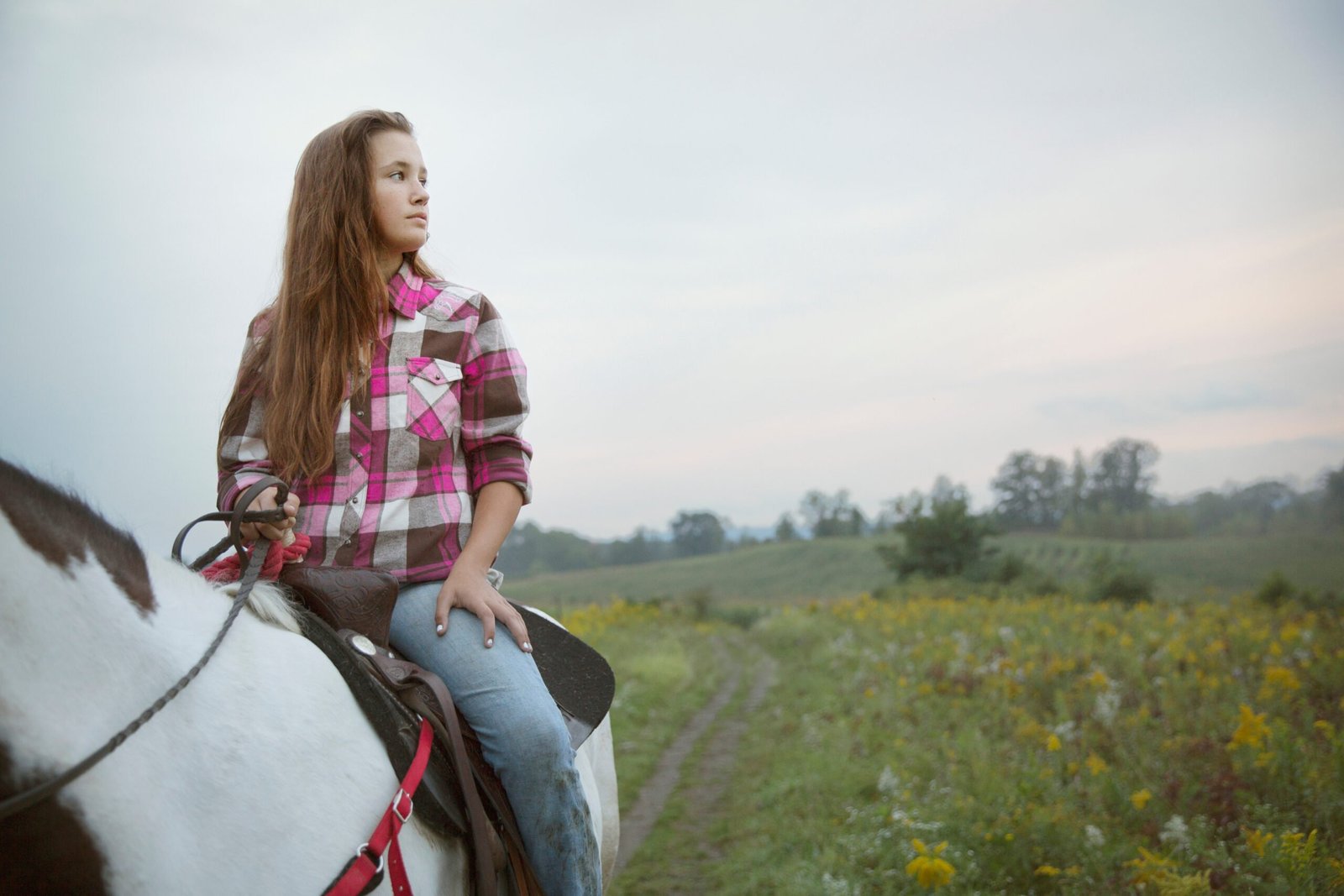 Why Your Horse Story Matters: Redefining Equestrian Success - Barn Rats ...