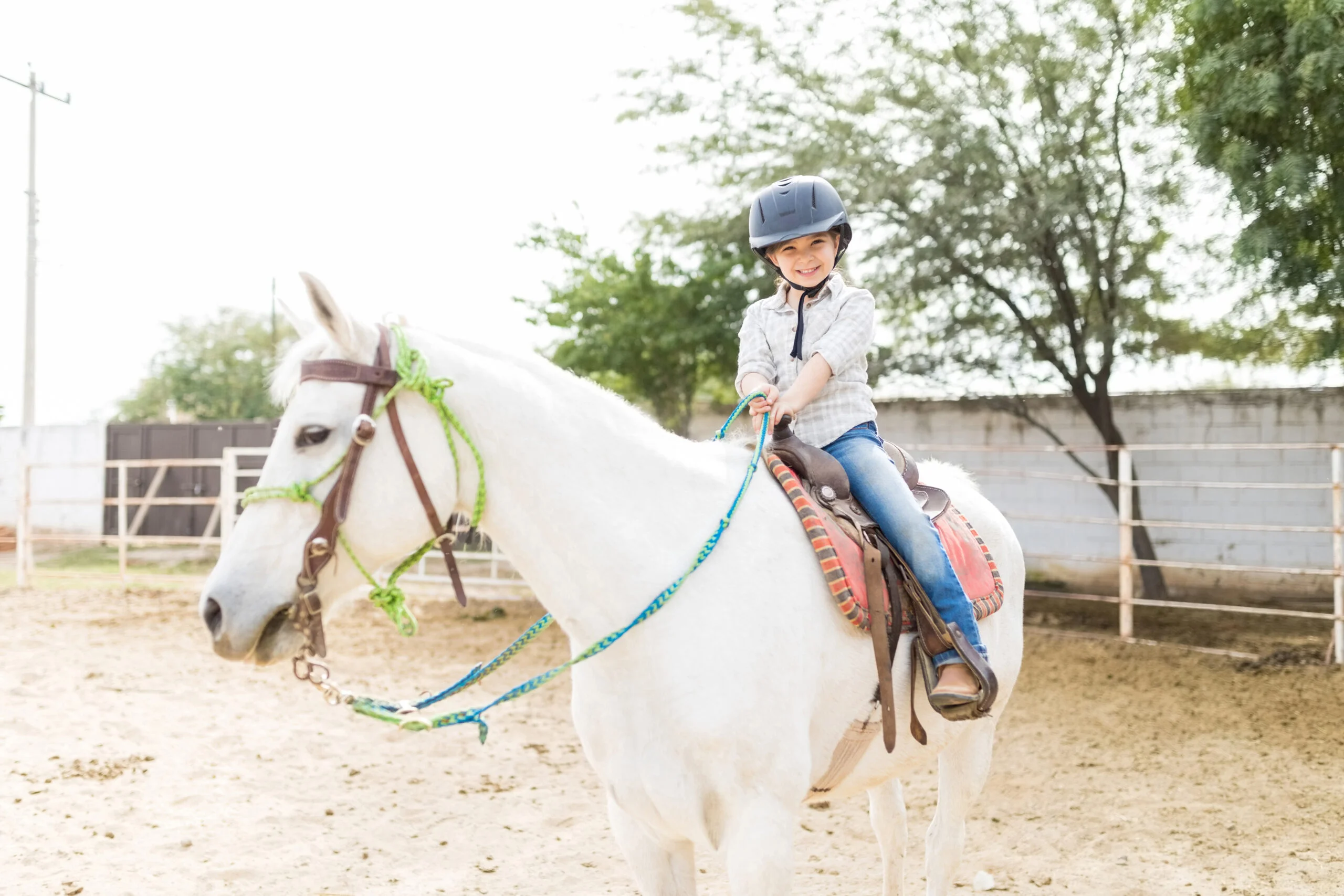 What Therapy Horses Provide That Other Animals Can’t