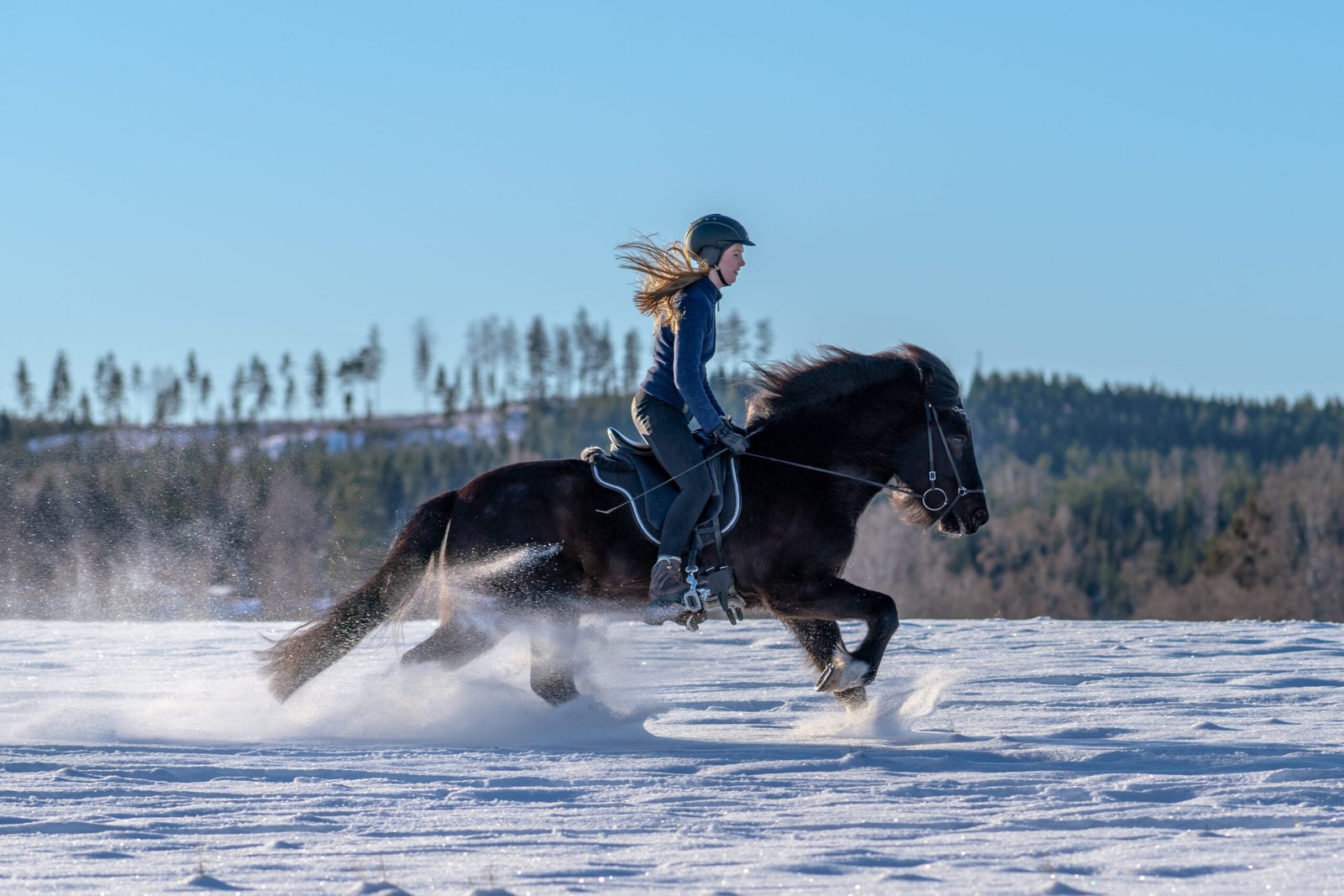 Why I Love Riding My Horse in Snowy Weather