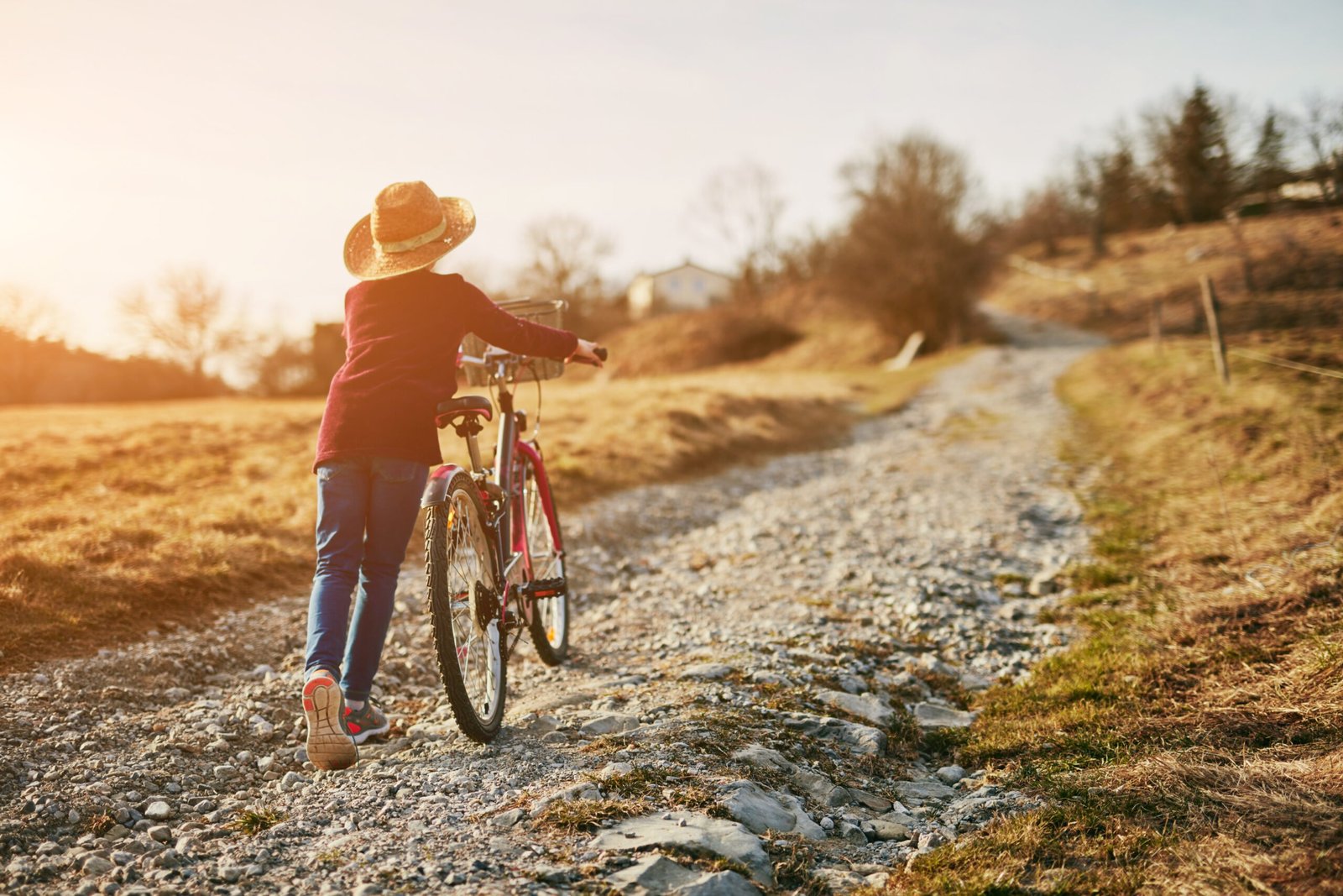 The Bicycle Horsewoman