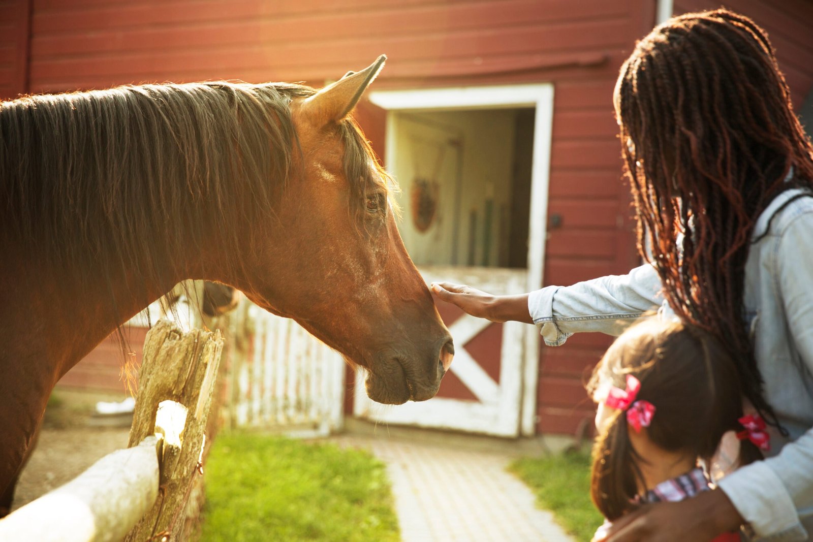 If I’m Not Riding Anymore, Am I Still a Horse Person?