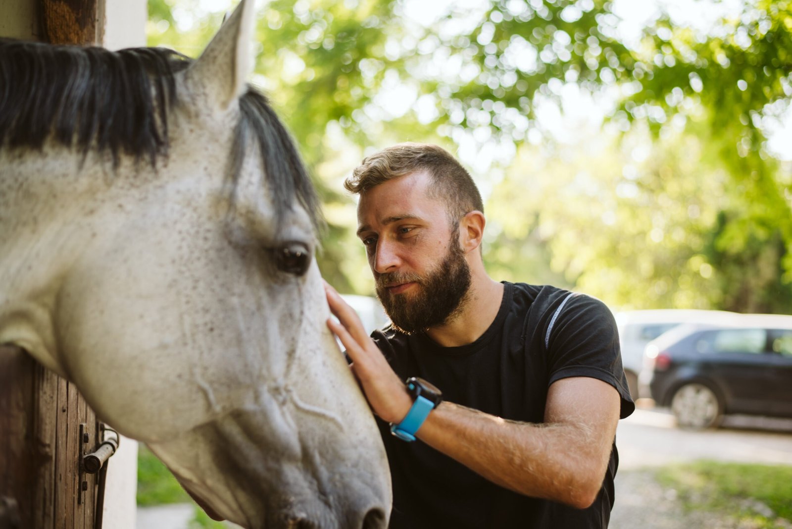 What Does Research Say About How Horses Affect Mental Health?