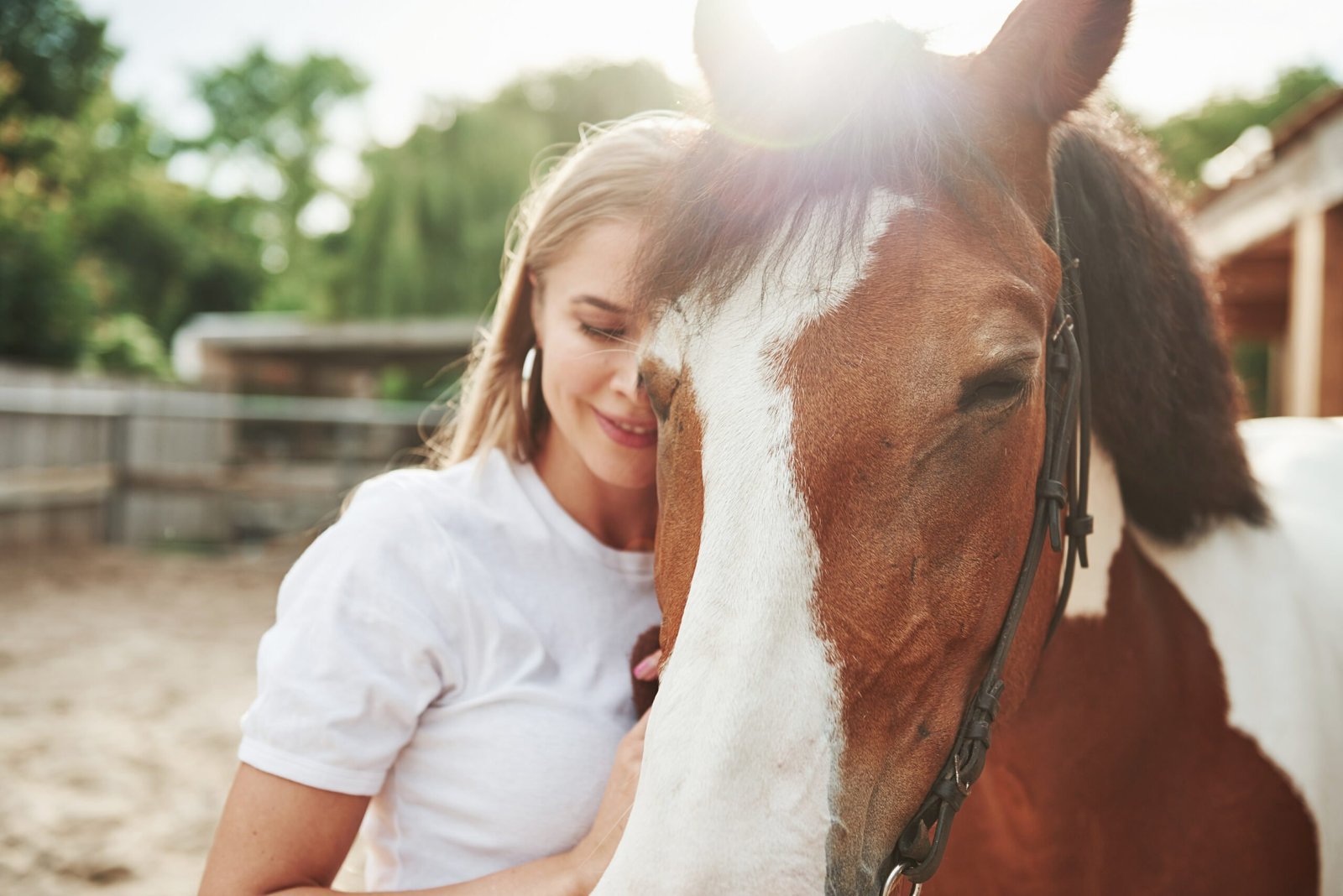 Read This Before You Buy Your First Horse