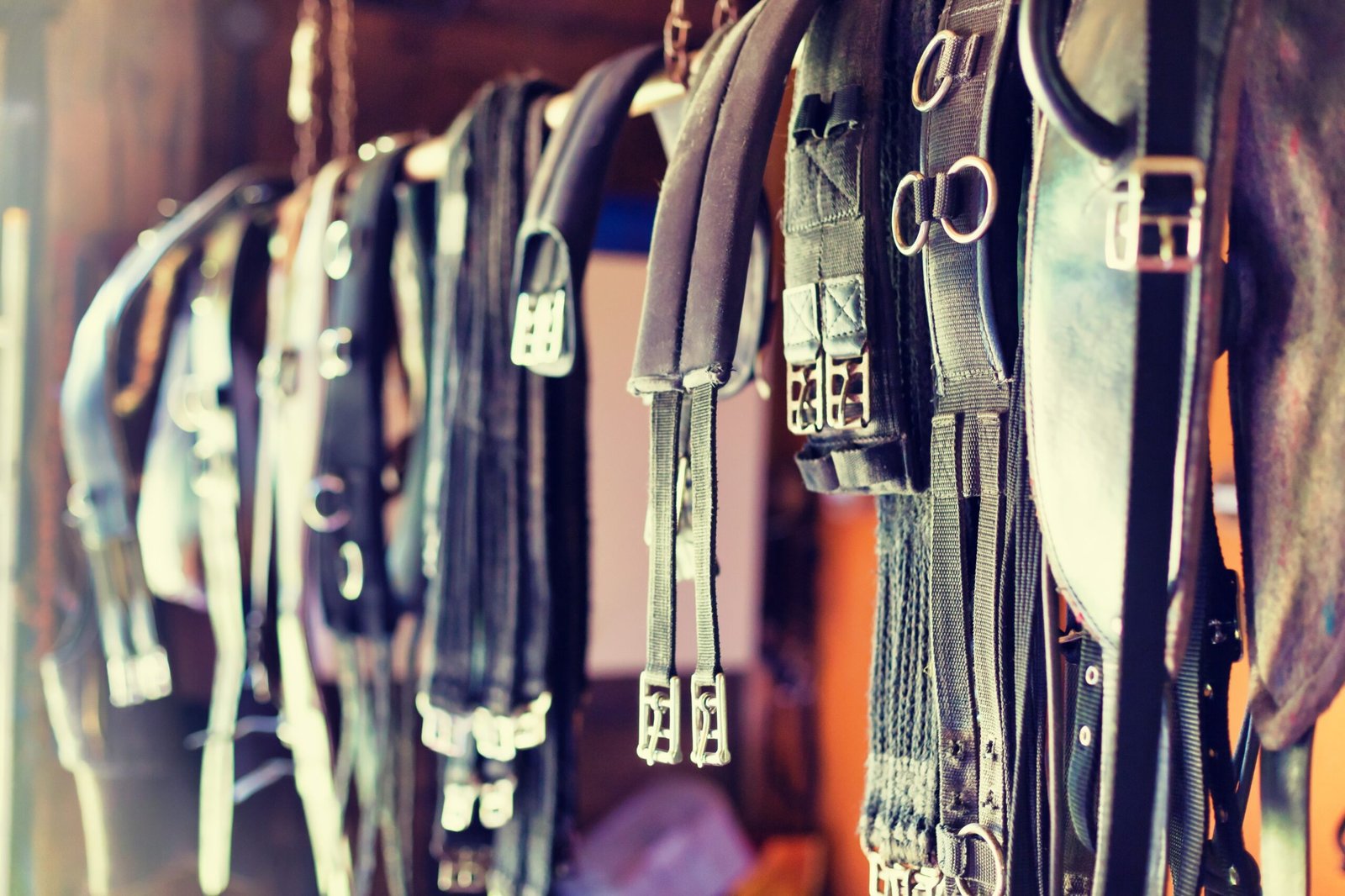 How Do I Sell Horse Tack? Tips for Selling Secondhand Equestrian Gear Successfully