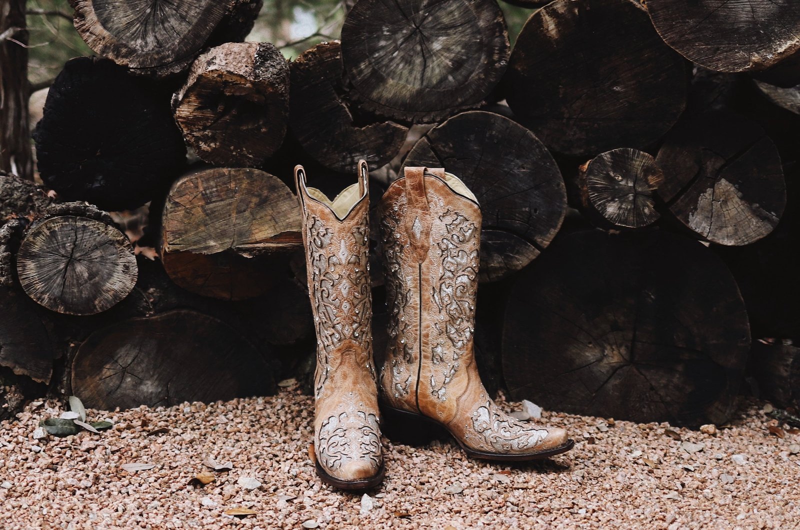 The Real Cowboy: Memories of an Idaho Rancher