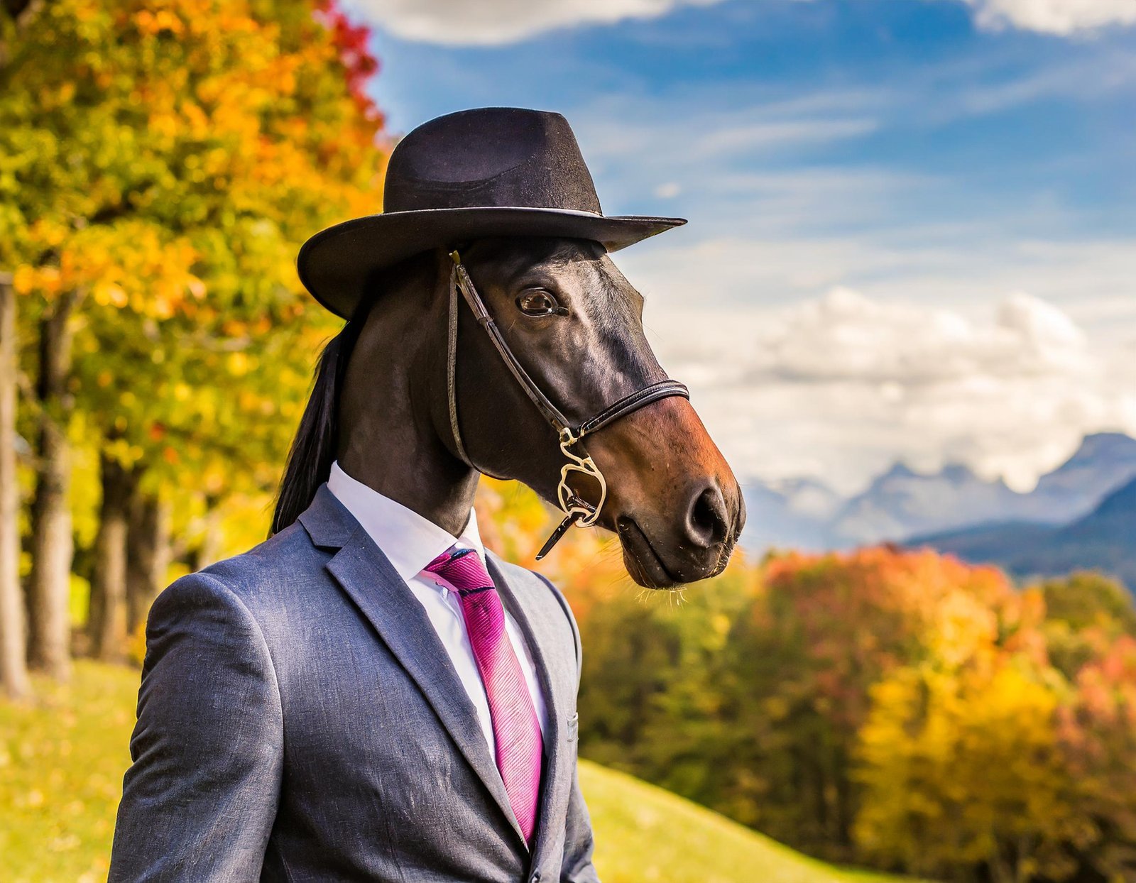 A handsome, well-groomed horseman