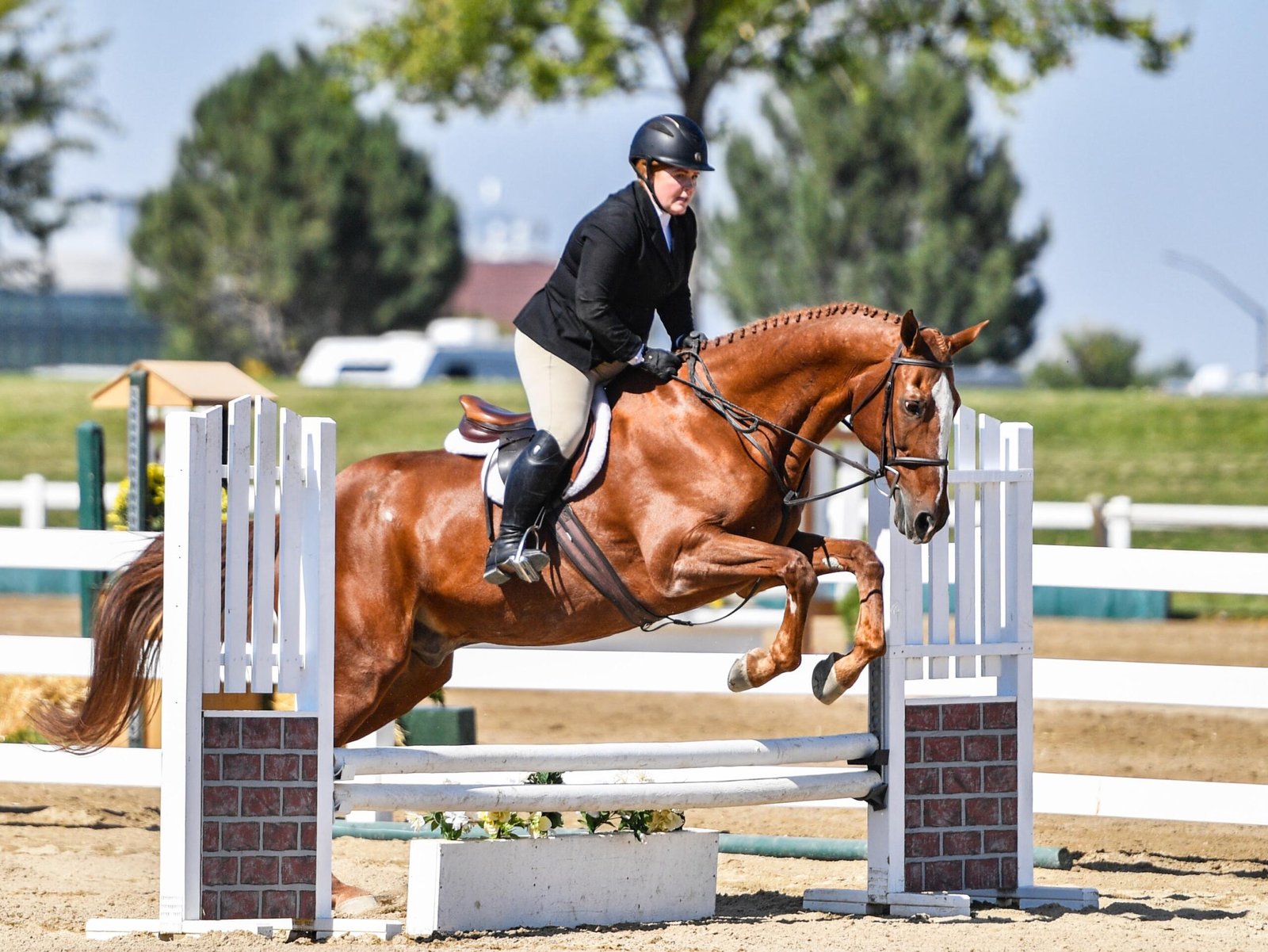 It's not too late for adults to learn to ride a horse