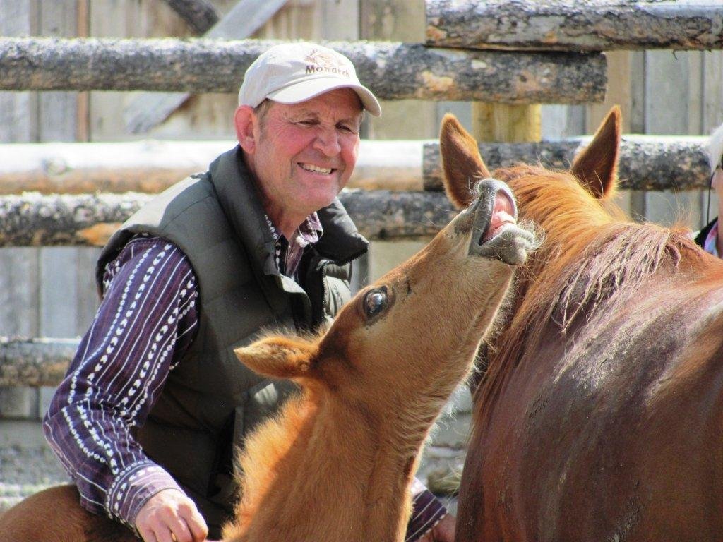 Jackson Hole Horse Rescue: An Old Folks’ Home for Horses