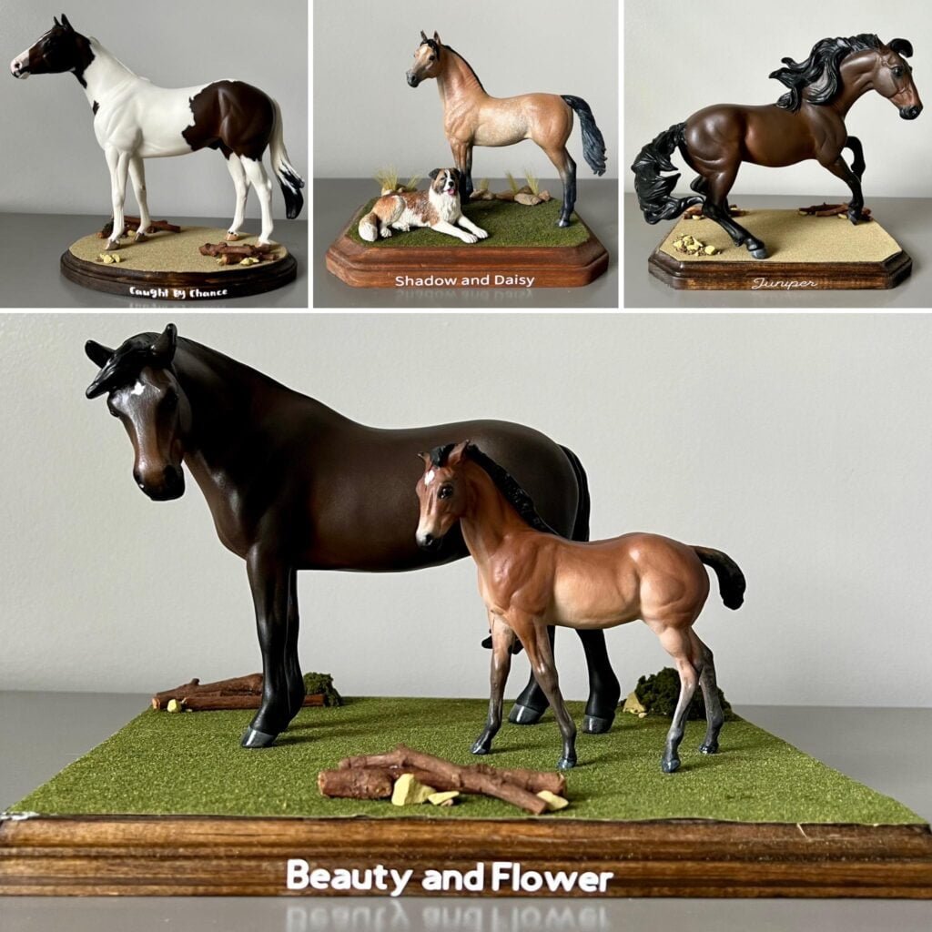 Custom horse model portraits