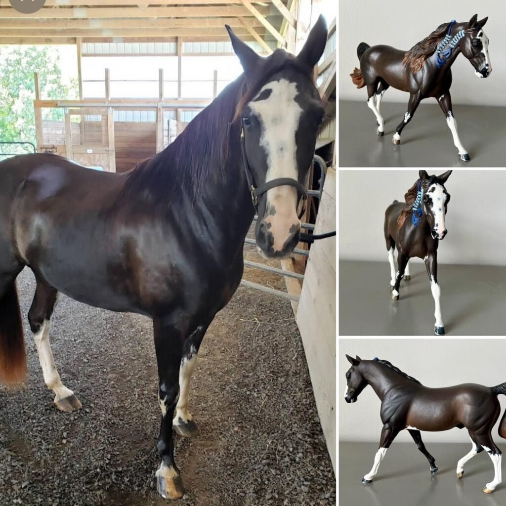 A custom model portrait of a horse by Michelle's Custom Keepsakes