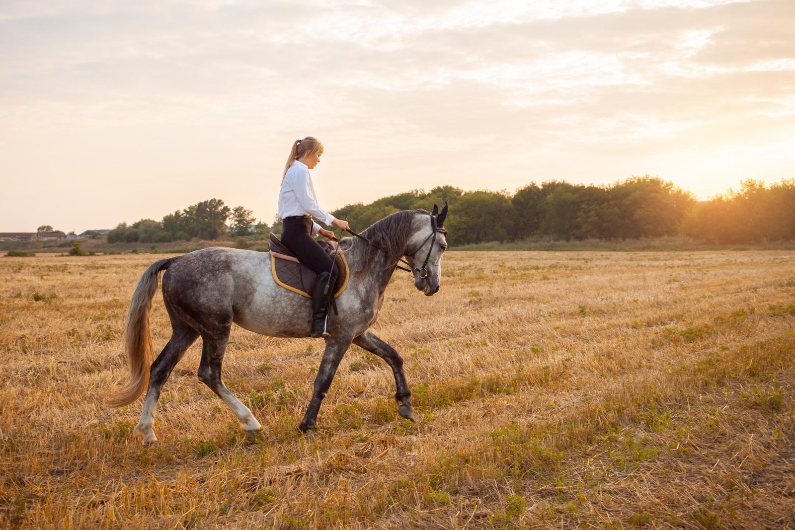 Quotes About Riding Horses You Need to Read