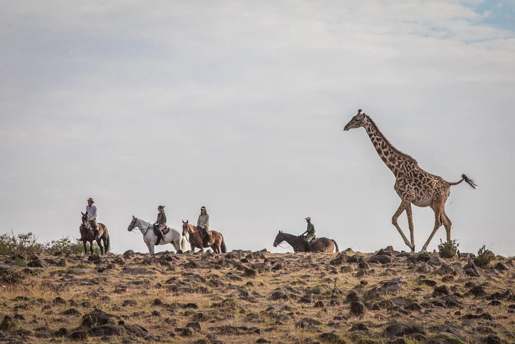 Riders enjoying an African safari on horseback.