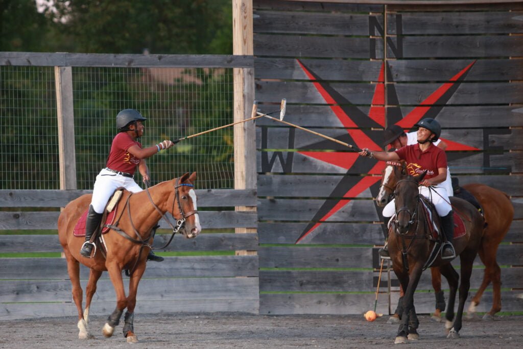 Polo is a game on horseback that requires teamwork and persistence.